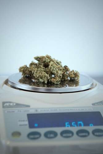 Read more about the article Illinois is All In for Marijuana Sales